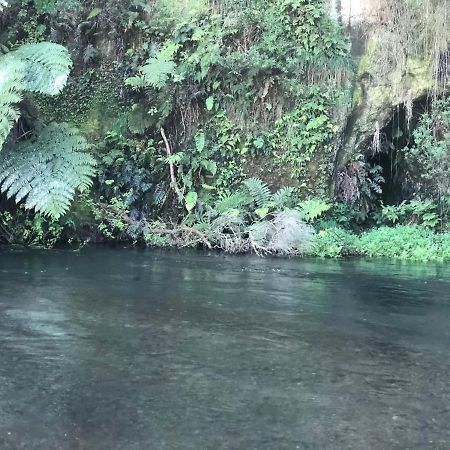 A1 Troutfishing At Tirau Villa Esterno foto
