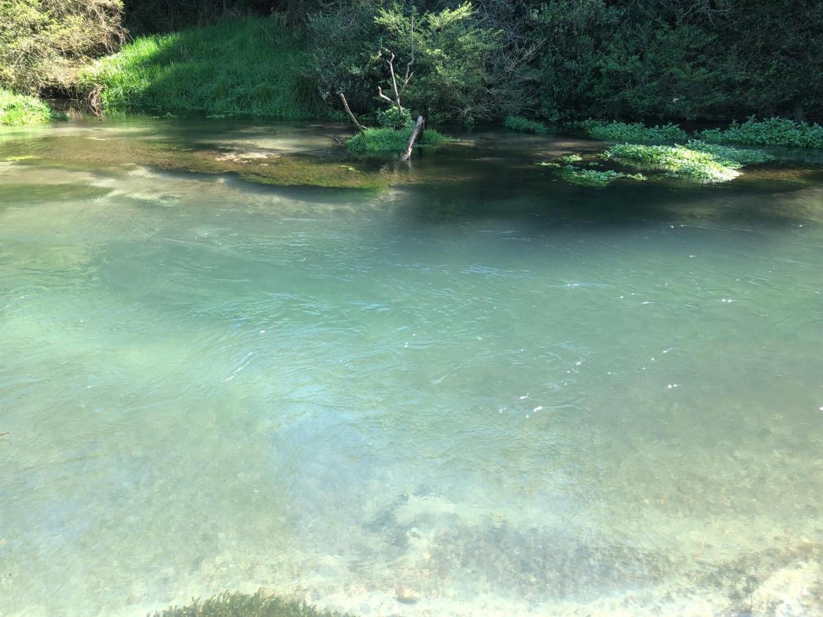 A1 Troutfishing At Tirau Villa Esterno foto
