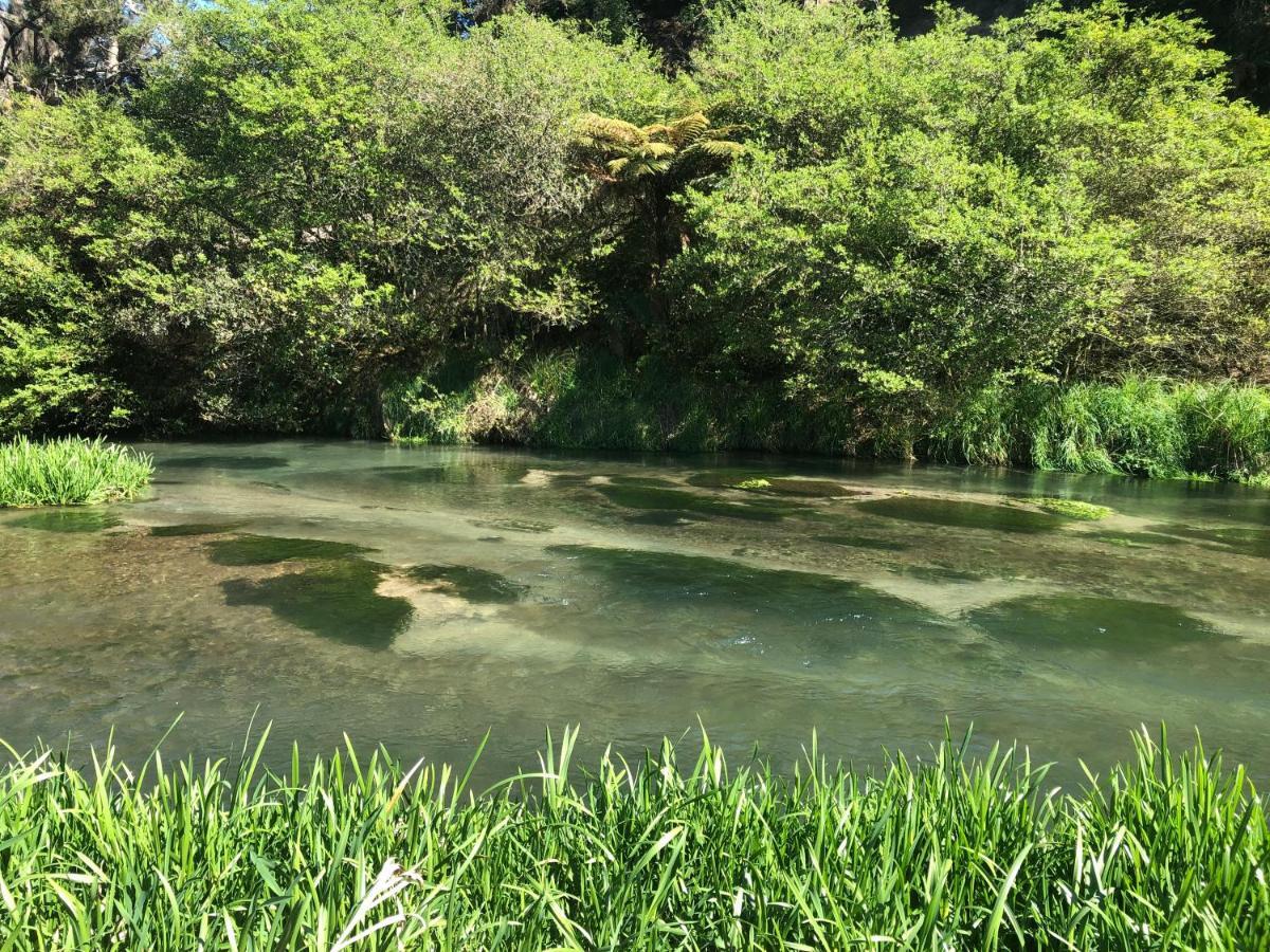A1 Troutfishing At Tirau Villa Esterno foto